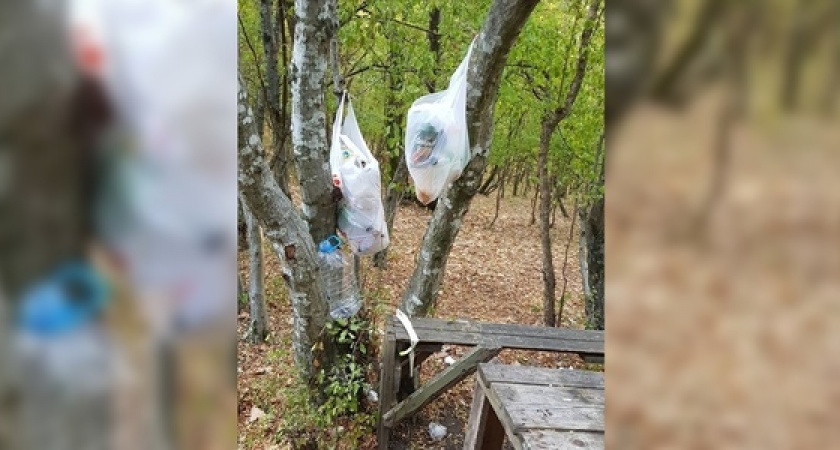Местные жители сфотографировали горы мусора в лесу Новороссийска
