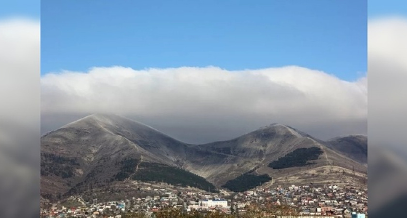 Холодная зима или Гражданская война? Блогер из Новороссийска выдвинул свои версии, почему на горах пропал лес