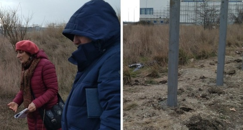 Бизнес против орхидей: как экологи Новороссийска пытаются остановить строительство гостиницы у Суджукской лагуны