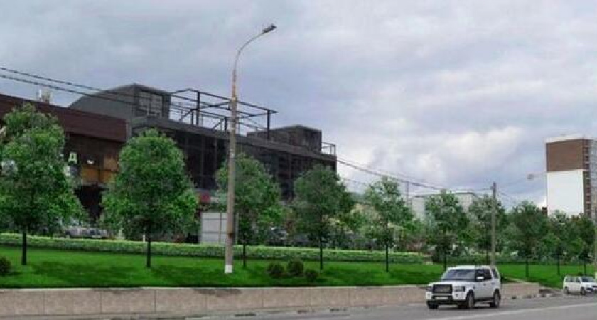 На Мысхакском шоссе высадят живую изгородь. На благоустройство выделяют 8 миллионов рублей из бюджета Новороссийска