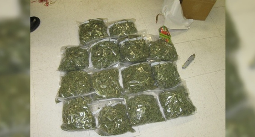 Полиция обнаружила в квартире жителя Новороссийска почти 2 килограмма марихуаны