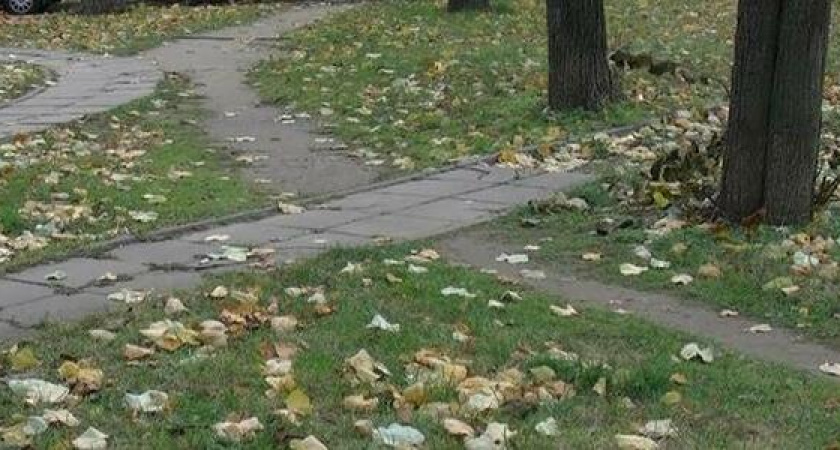 В Новороссийске благоустроят «народные тропы», чтобы люди не вытаптывали газоны