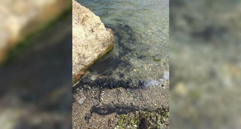 Жители Новороссийска обнаружили в море темные масляные пятна, похожие на мазут