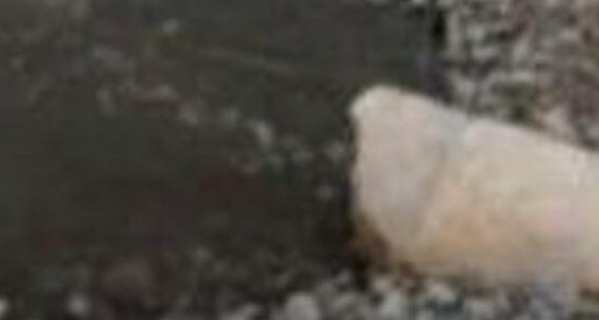 Прокуратура требует освободить пляж «Нептун» в Новороссийске от торговых точек