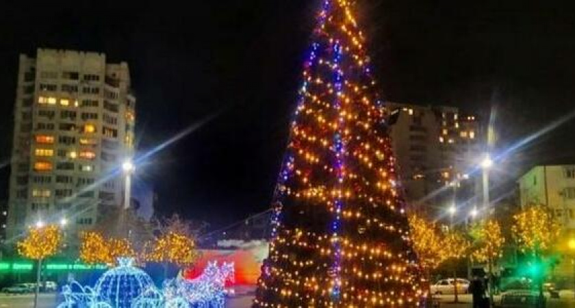 «Праздник к нам приходит!»: в Новороссийске на бульваре Черняховского установили новогоднюю елку и карету с лошадьми