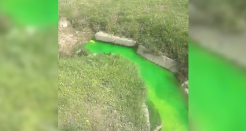 «Может просто камуфляж постирали!?»: из военной части в Новороссийске вытекает неоново-зеленая жидкость