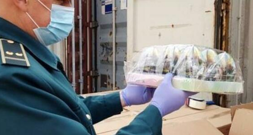 В Новороссийске уничтожат более миллиона шоколадных яиц из-за незаконной маркировки «Сюрприз»