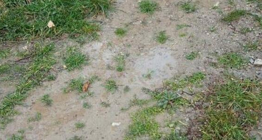 «Двор затоплен, а в кране сухо!»: в одном из дворов Новороссийска уже две недели из трубы льется холодная вода