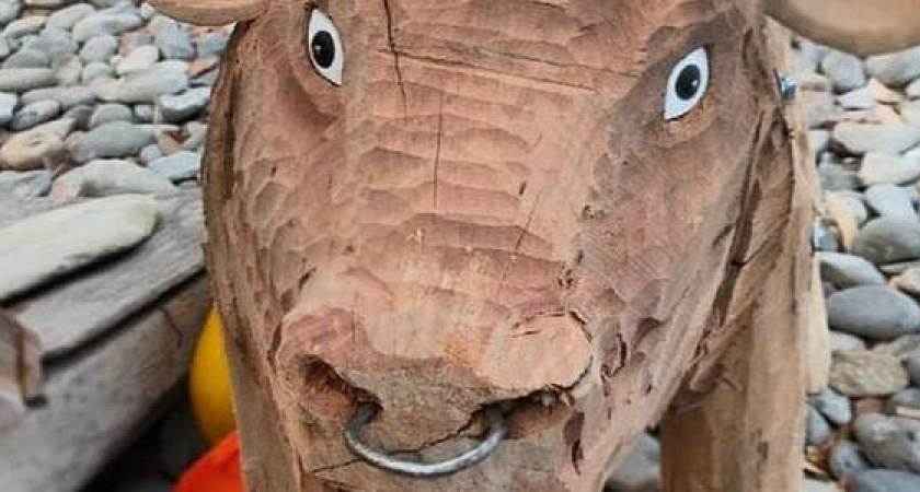 В Новороссийске на Суджукской косе поселился деревянный бык