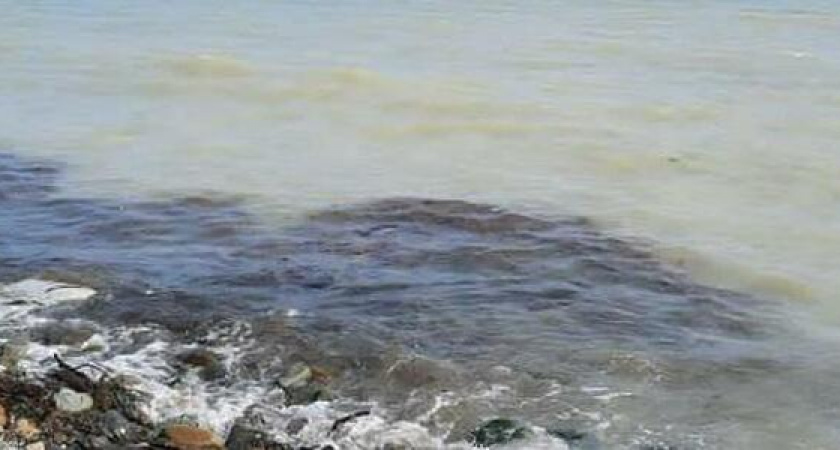 «Никогда не видела такого ужаса!»: море в Южной Озереевке мутно-серого цвета и пахнет нефтью