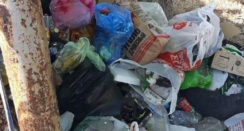 Местные Vs туристы: отдыхающие жалуются на мусор в Широкой Балке, а горожане напоминают, кто устраивает свинарник