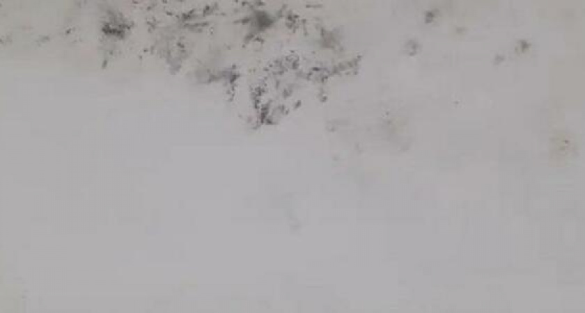 «В квартире черная плесень!»: в одном из домов Новороссийска уже год протекает крыша