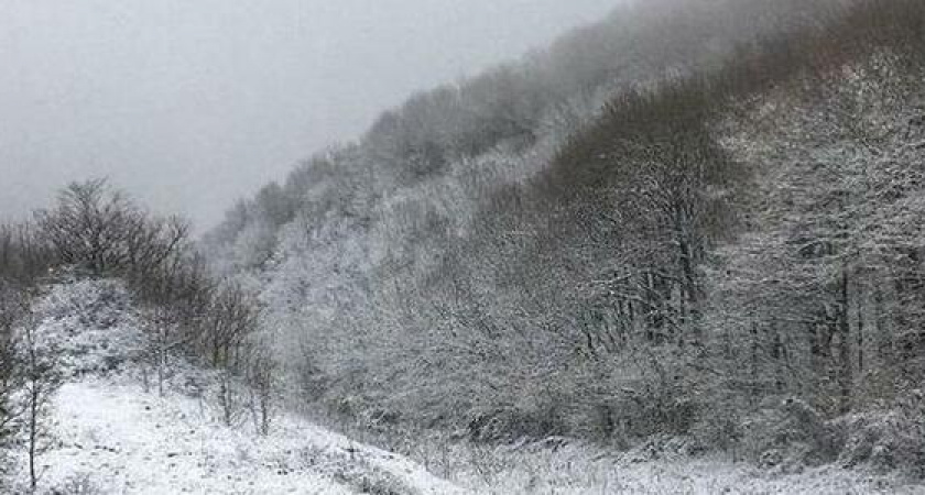 «Первый снег - как первая любовь» 11 снежных кадров Новороссийска и окрестностей