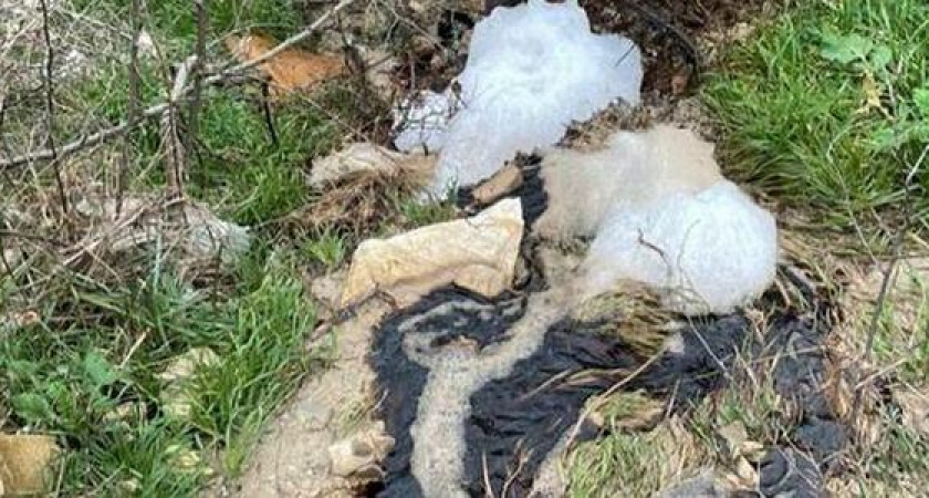На территории мусорного полигона на горе Щелба под Новороссийском произошел розлив инфильтрационных вод