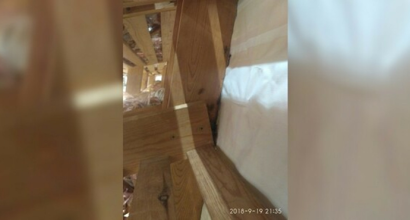 «Они уже личинки откладывают»: житель Новороссийска сфотографировал полчища тараканов в хлебном отделе гипермаркета