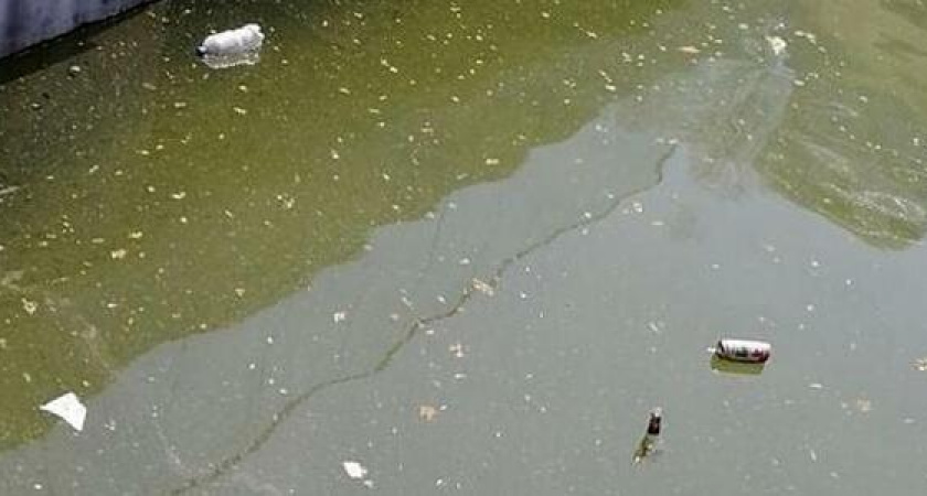 "Былая роскошь канула в лету": горожан возмутило состояние водоема в парке Фрунзе