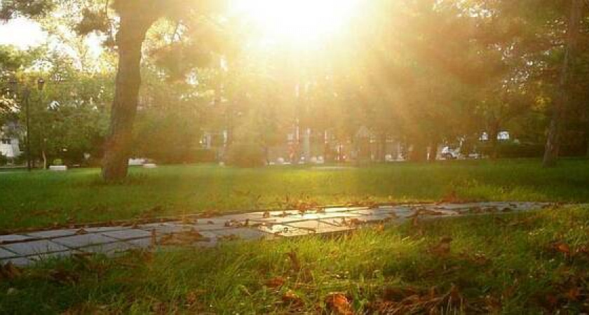 Жителей Новороссийска ждут теплые выходные