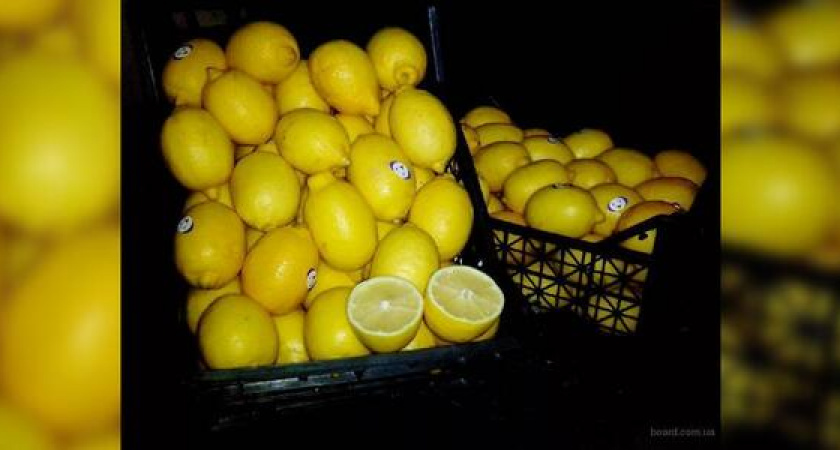 Попались на свити, лимонах и авокадо: охранники новороссийского порта попали под суд за кражу