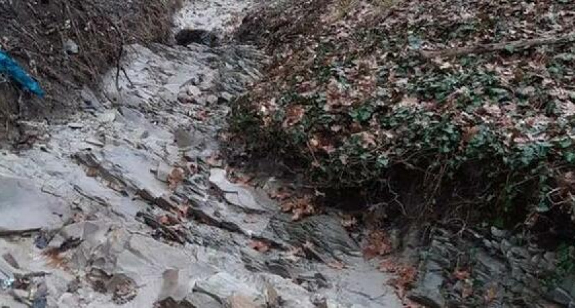 Разлетающийся мусор, вонь и ядовитые сливы: активисты из Новороссийска обследовали территорию вокруг полигона на горе Щелба