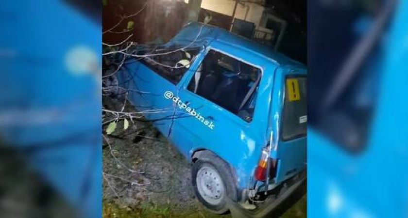 Под Новороссийском «Ока» насмерть сбила верблюда