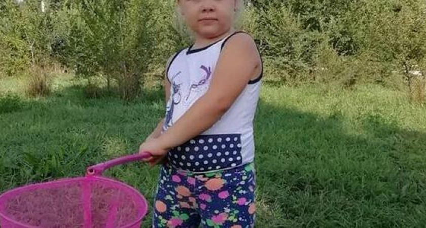 Шесть мест в Новороссийске, где можно интересно и бесплатно провести время с детьми летом