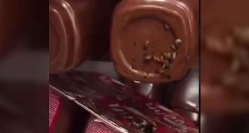 Мусоровоз продолжает разводить опарышей под окнами жилого дома в Новороссийске: в управляющей компании считают, что никакой проблемы нет