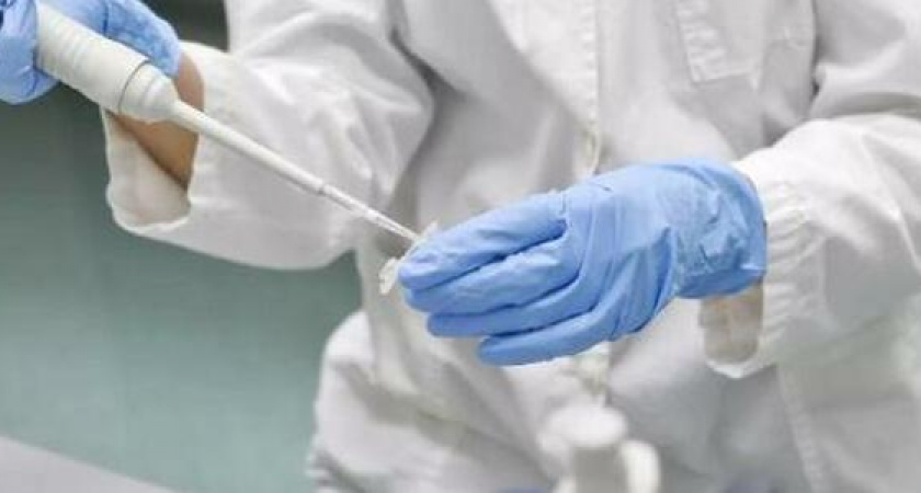 На Кубани для установления личности вора пришлось делать ДНК-экспертизу