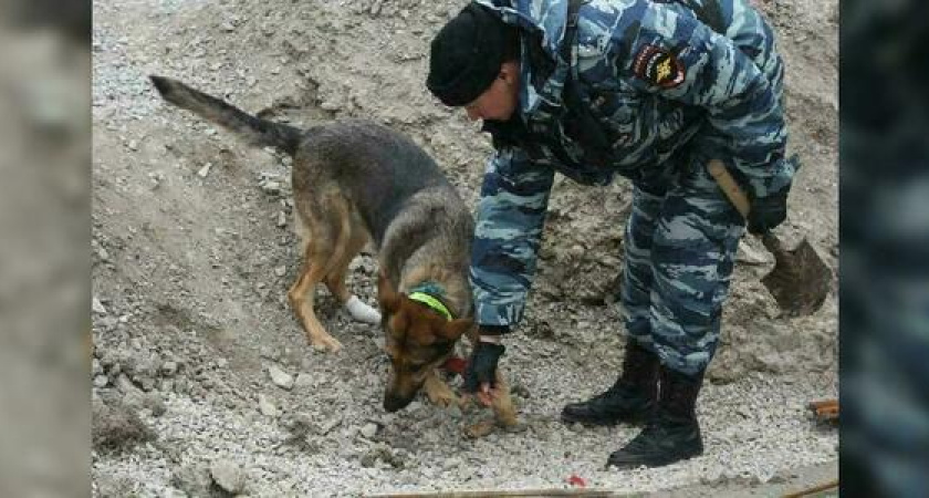 В Новороссийске полицейские обнаружили на одной из строек останки трех человек