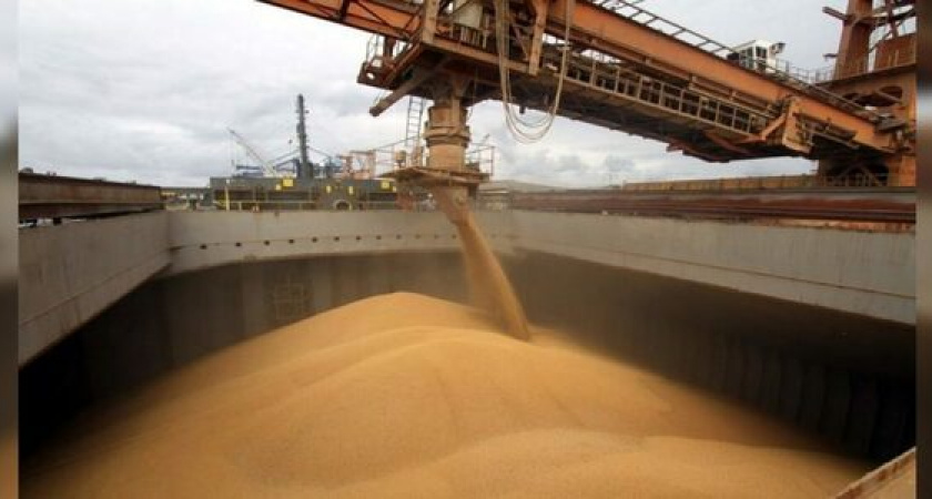 Россельхознадзор приостановил работу контейнерной площадки в Новороссийске