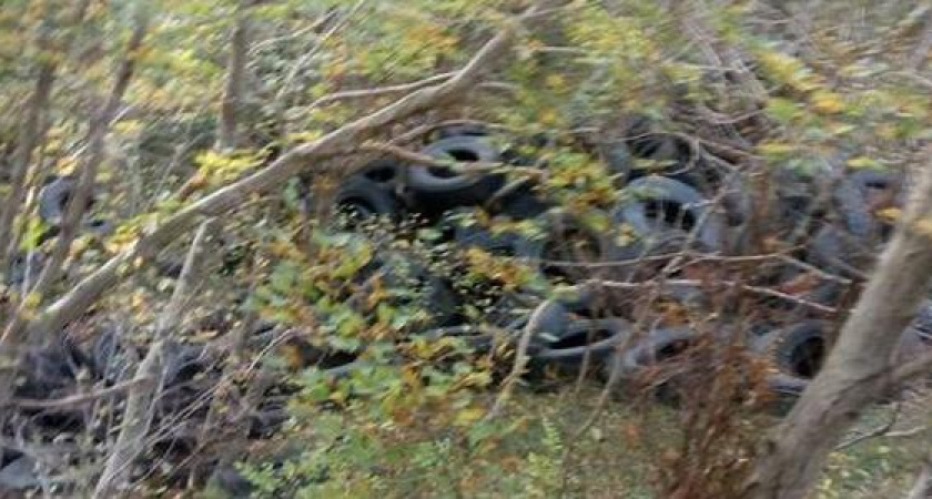 "Вывезли 650 покрышек, Карл!": власти Новороссийска не могут убрать огромную свалку автомобильных шин