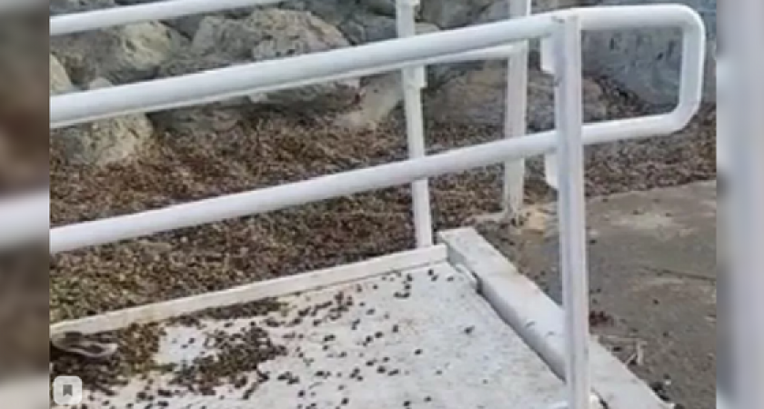 В селе Мысхако под Новороссийском оборудовали пляж для инвалидов