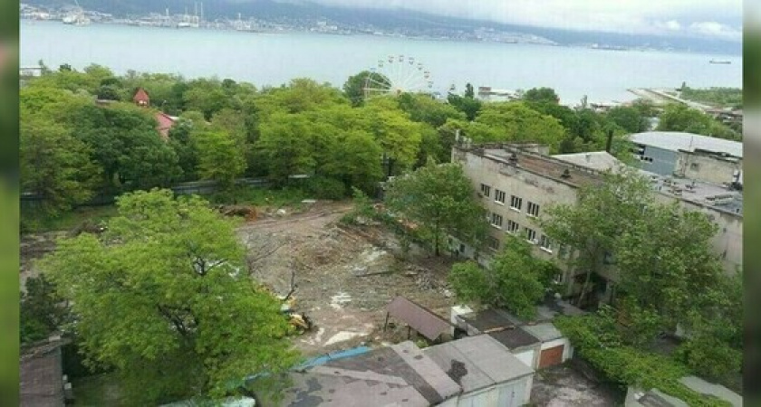 Активисты Новороссийска собирают деньги на адвоката, чтобы защитить парк Фрунзе от застройки