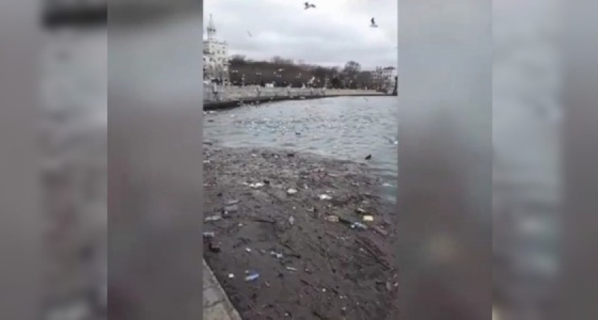 «Фу, какая гадость!» Что выбрасывает море после шторма, сняли на видео новороссийцы