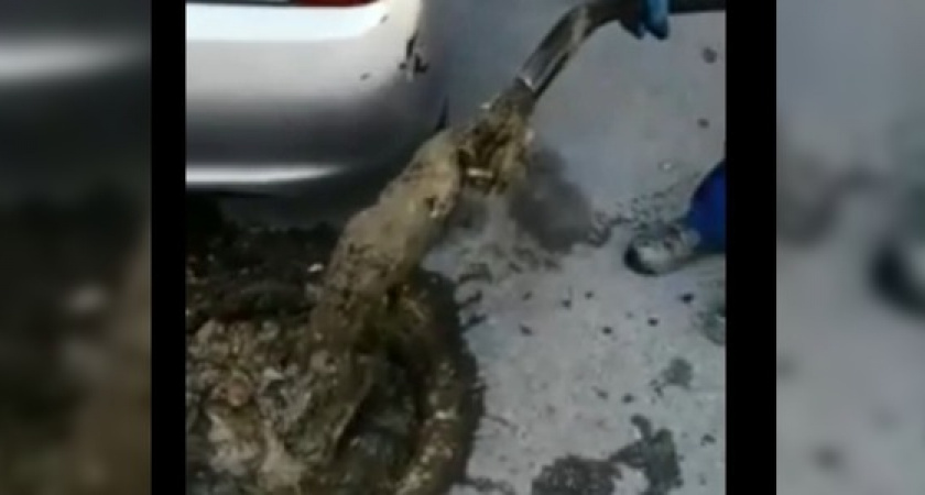 «Канализационный сюрприз». Из-за чего двор новороссийской многоэтажки затопило сточными водами