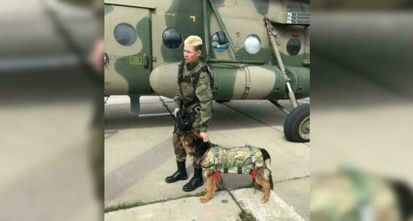 Вопрос про кинолога из Новороссийска Наталью Березу озвучили в передаче «Своя игра» на НТВ