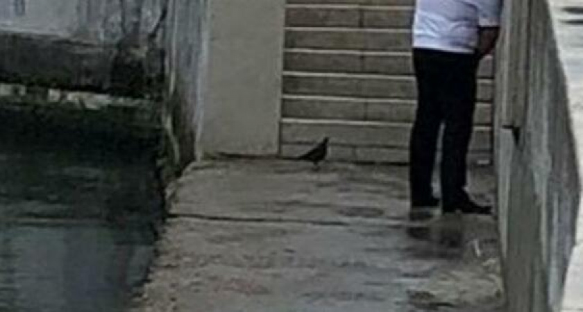 В Сеть попало фото, как мужчина в казачьей форме справляет нужду на набережной. Неожиданно новороссийцы вступились за него