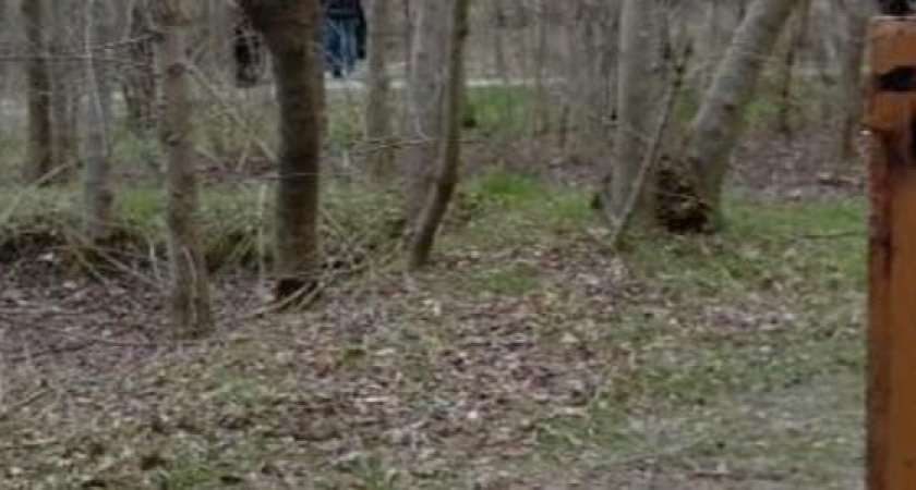 Стройке быть: на участке, прилегающем к Пионерской роще, начали устанавливать ограждение