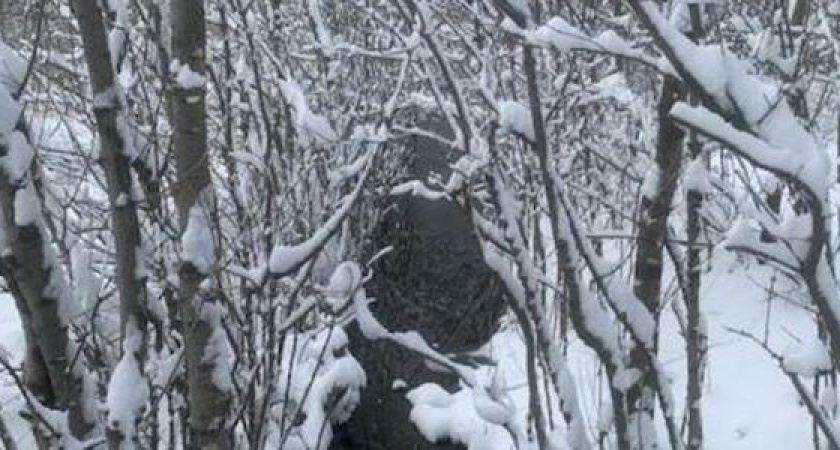 Жители Новороссийска опасаются, что из-за строительства детского сада рядом с Пионерской рощей будет уничтожен ручей