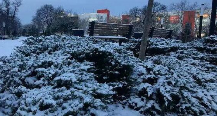 Зима не закончилась! В Новороссийске снова пойдет снег