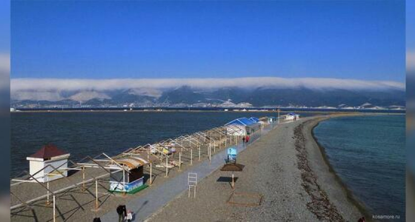 Арендаторы пляжа Алексино интересуются у горожан, какие растения они хотели бы видеть на входе в пляж