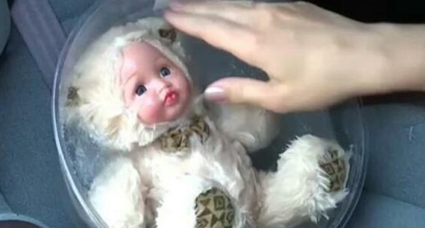 55 градусов через 15 минут: полицейские Новороссийска показали, почему нельзя оставлять детей в салоне автомобиля летом