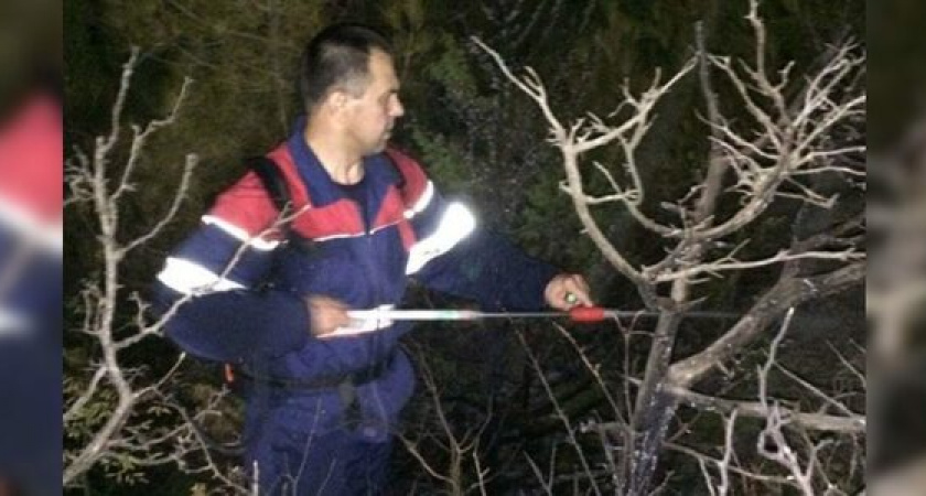 В Новороссийске потушили лесной пожар на площади 1000 квадратных метров