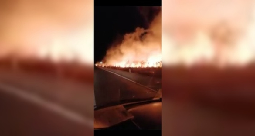 Горит камыш: под Анапой загорелись плавни на площади 1500 квадратных метров