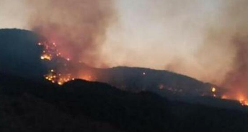 Под Анапой введен режим ЧС: из охваченного огнем заповедника эвакуировано уже более 1000 туристов