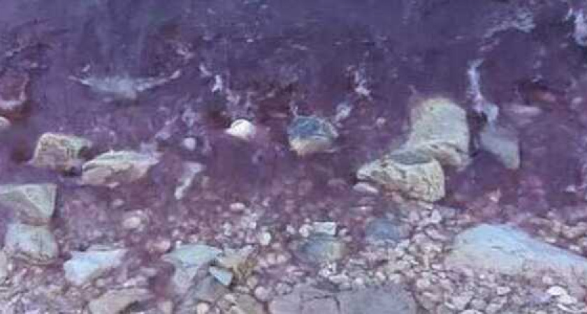 В Роспотребнадзоре рассказали о результатах исследования красной морской воды в Новороссийске