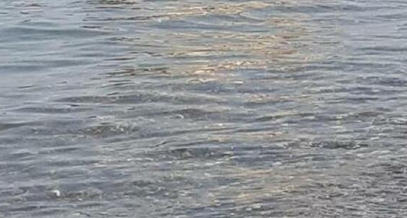 В Новороссийске у бывшего рыбзавода начались работы по берегоукреплению