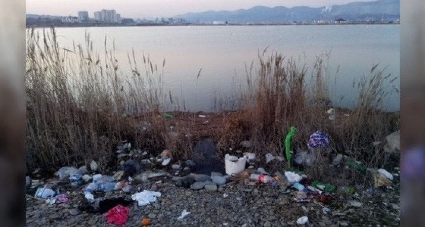 На ликвидацию несанкционированных свалок в Новороссийске потратят более 8,9 млн рублей