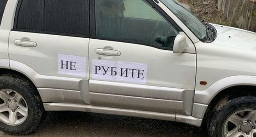 «На одного защитника рощи - 3 силовика!»: полиция помешала провести автопробег в защиту Пионерской рощи