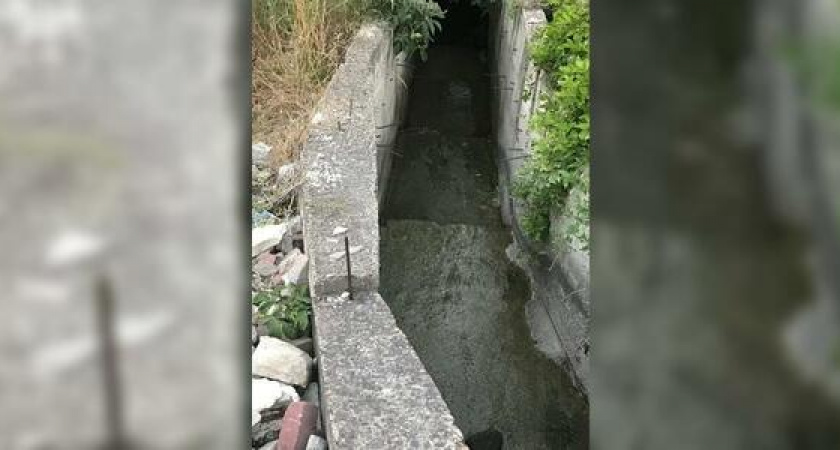 Открытые ливневки, реки фекалий и крысы во дворах: новороссийцы жалуются на бездействие коммунальщиков