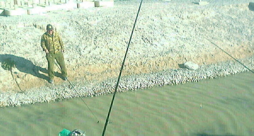 Кефаль из Суджукской лагуны Новороссийска просится на волю, а попадает на сковородку